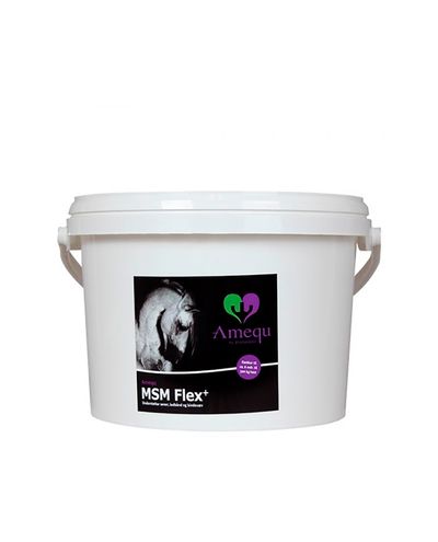 MSM Flex (5kg)