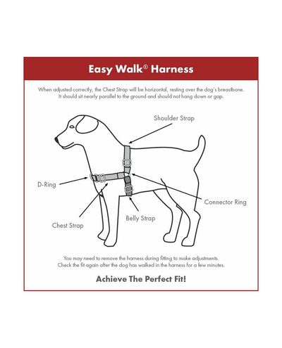 PetSafe Easy Walk-harness+leash, red
