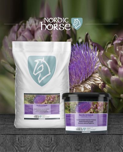 Artichoke (500g) Nordic
