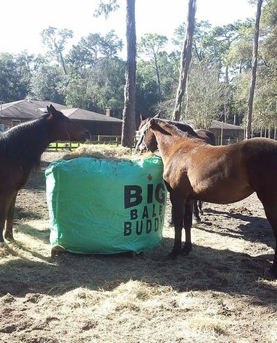 Big Bale Buddy (Small)