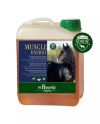 Muscle Energy Boost (2,5l napi termék)