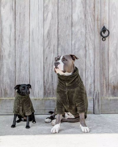 Teddy Fleece Dog Sweater Pine Green (XS)