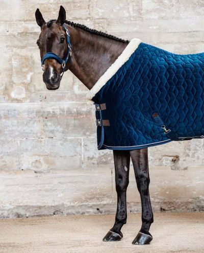 Show Rug Velvet (Navy) 160g