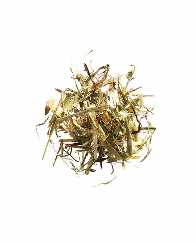 Grünhafer (15kg) Agrobs