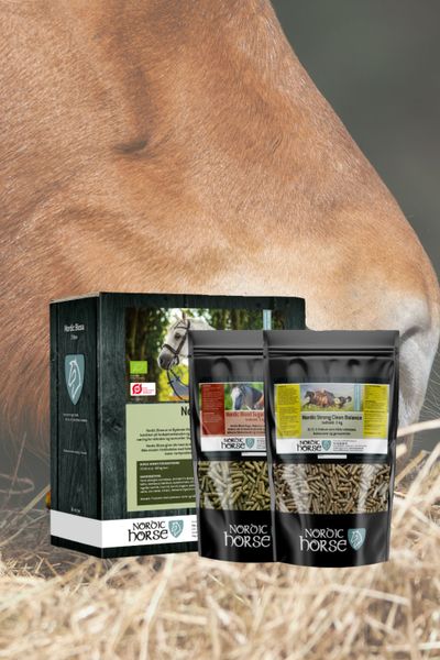 Nordic Horse rugós csomag