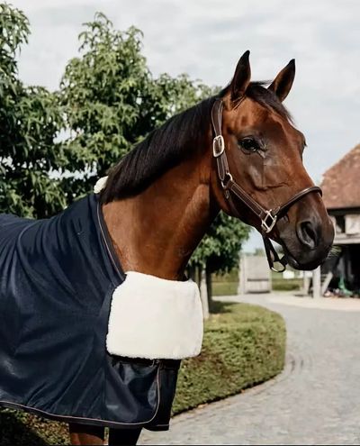 Mellkasi védelem Ló BIB mellkasi védelem Birkabőr Kentucky Mellkasi védelem Ló BIB mellkasi védelem Birkabőr Kentucky